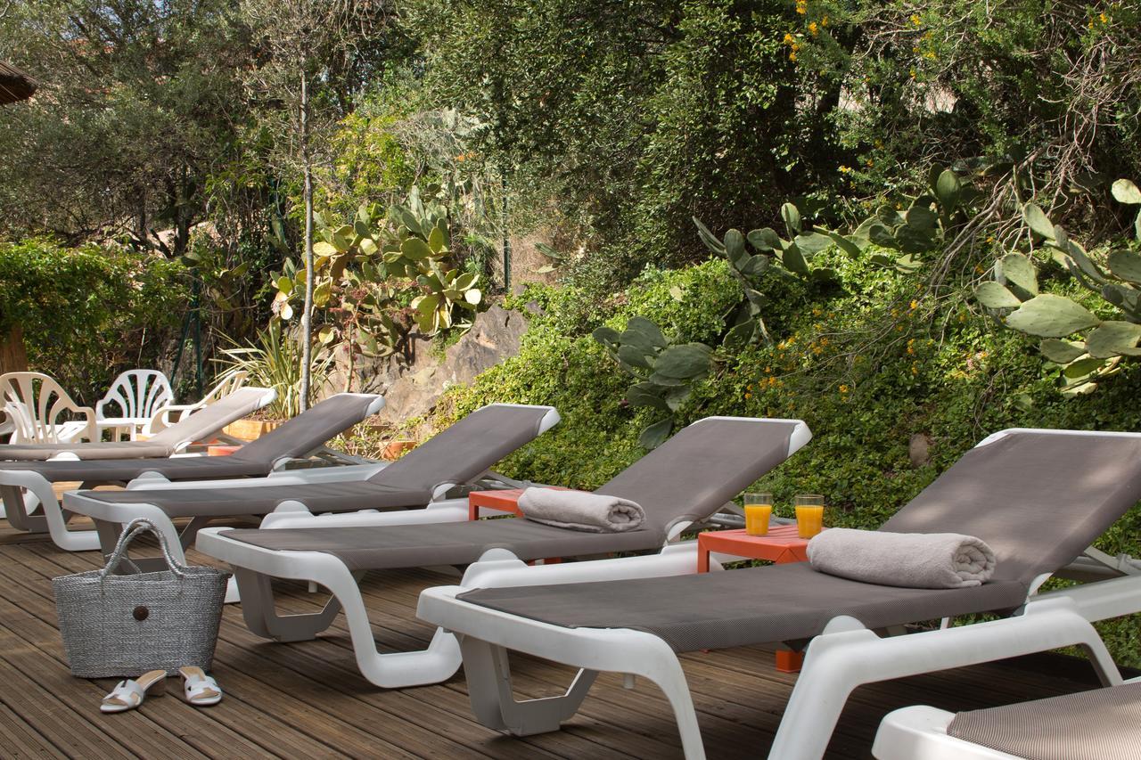 Le Madeloc Hotel & Spa Collioure Kültér fotó
